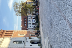 IMG_1310